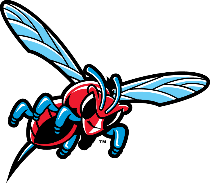 Delaware State Hornets 2004-Pres Misc Logo v2 diy DTF decal sticker